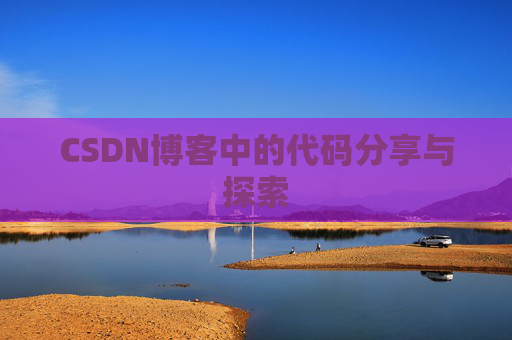 CSDN博客中的代码分享与探索